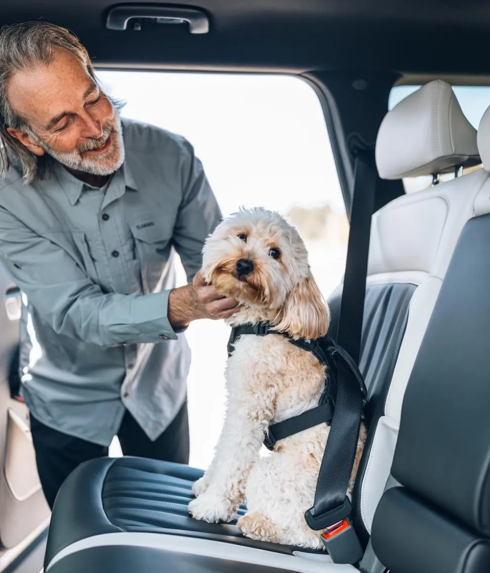 THULE® Hundegeschirr für Autos Cappy