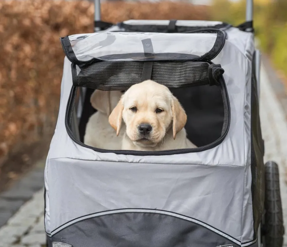 Trixie Fahrradanhänger für den Hund, grau