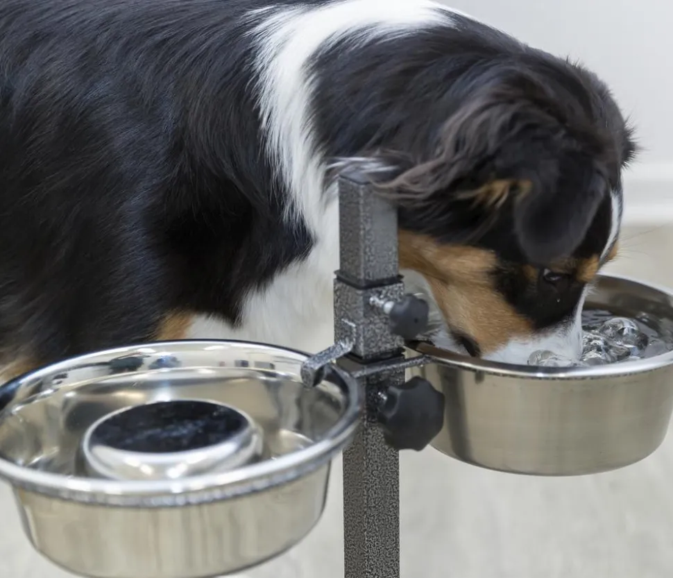 Trixie Hundebar
