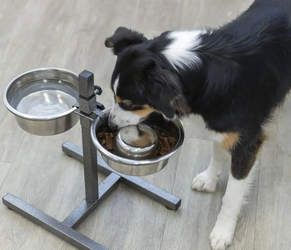 Trixie Hundebar