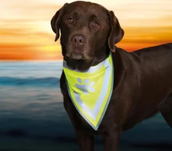 Trixie Hunde-Halstuch Safer Life