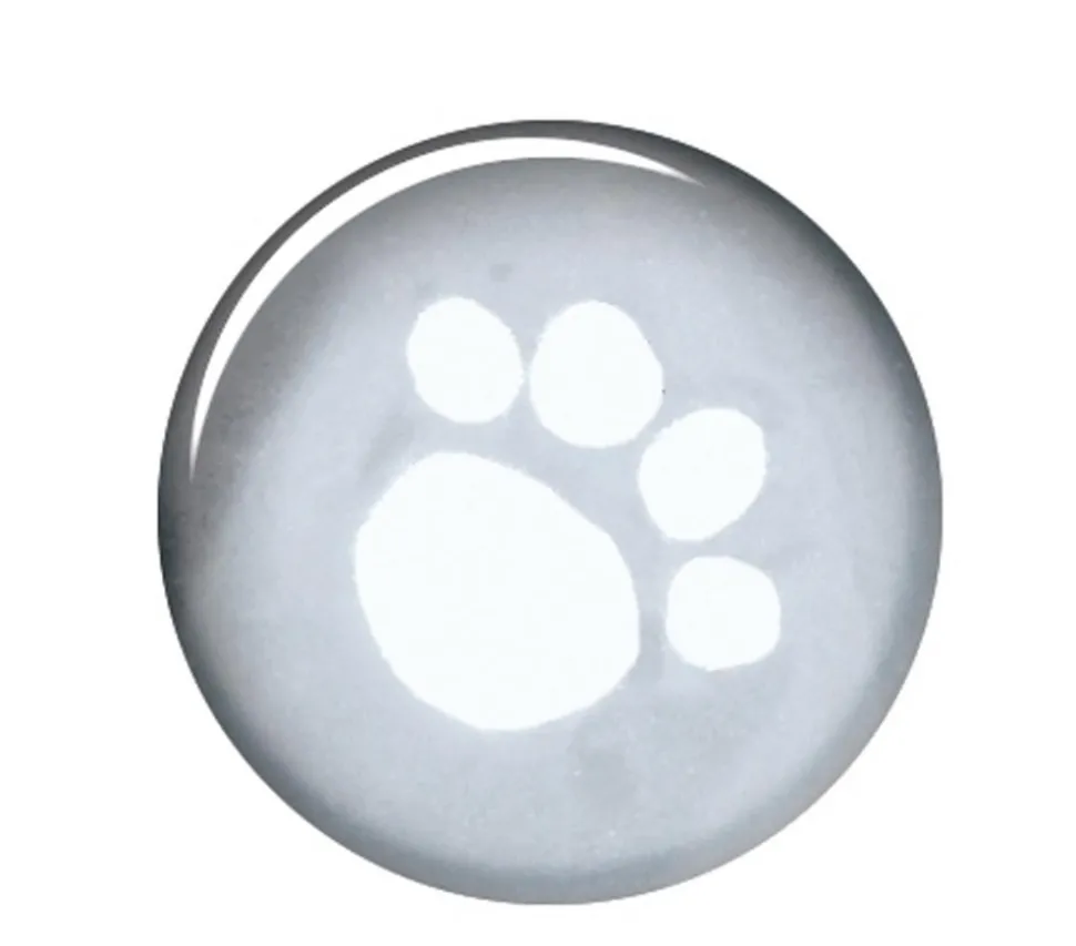 Trixie Hunde-Regenmantel Tarbes