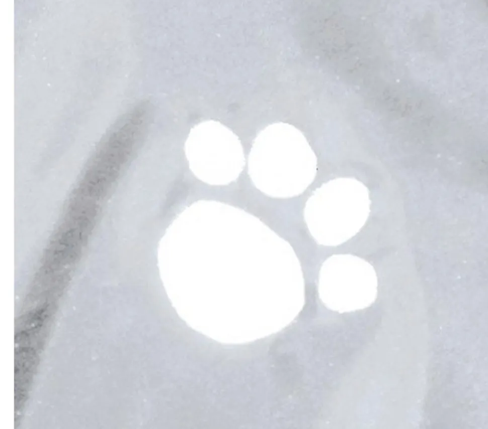Trixie Hunde-Regenmantel Tarbes
