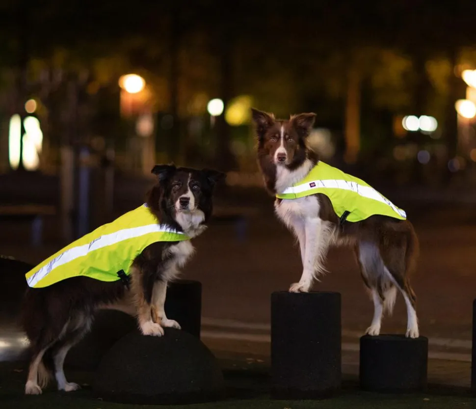 Trixie Sicherheitsweste für Hunde, neongelb