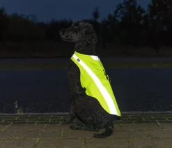 Trixie Sicherheitsweste für Hunde, neongelb