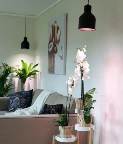 Venso Lampenschirm Saga für Pflanzenlampe