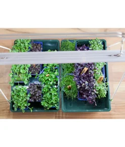 Venso LED-Anzuchtlampe GrowLight Duo