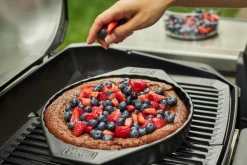 Weber Elektrogrill Pulse 2000 Black