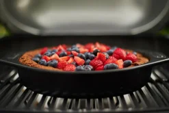 Weber Elektrogrill Pulse 2000 Black