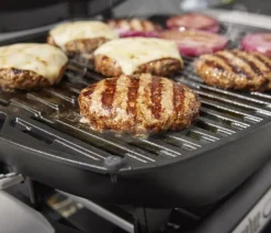 Weber Gasgrill Q1200N, ca. B105/H38/T44 cm
