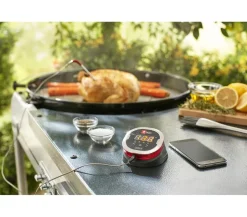 Weber® iGrill 2 mit zwei Messfühlern