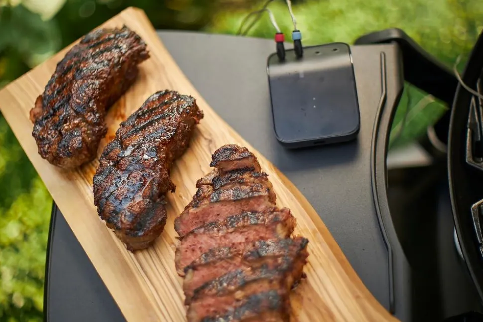 Weber Thermometer Connect Smart Grilling Hub
