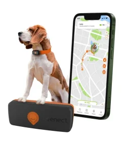 Weenect XS GPS-Tracker für Hunde, ca. B6,05/H2,45/T1,5 cm