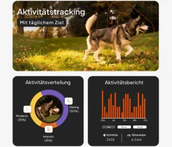 Weenect XT GPS-Tracker für Hunde