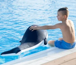 Westmann Pool-Buddy Wal