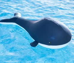 Westmann Pool-Buddy Wal