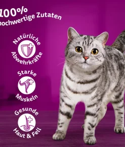 Whiskas® Nassfutter für Katzen Multipack Jumbo Klassische Auswahl in Sauce, Adult, 80 x 85 g