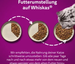 Whiskas® Nassfutter für Katzen Multipack Tasty Mix Chef's Choice in Sauce, Adult, 12 x 85 g