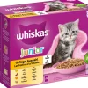 Whiskas® Nassfutter für Katzen Multipack Geflügel Auswahl in Gelee, Junior, 12 x 85 g