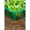 Windhager Schneckenbarriere PET, grün, ca. L8 m/B20 cm