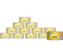 WOW® Cat Nassfutter für Katzen Premium Filets, Adult, 12 x 70 g