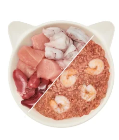 WOW® Cat Nassfutter für Katzen Premium Paté Junior, 12 x 125 g