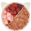 WOW® Cat Nassfutter für Katzen Premium Paté Adult, 6 x 200 g