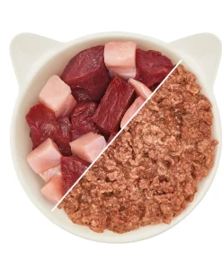 WOW® Cat Nassfutter für Katzen Premium Filets, Adult, 12 x 70 g