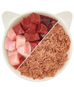 WOW® Cat Nassfutter für Katzen Premium Paté Adult, 12 x 125 g