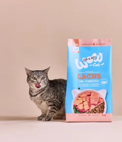 WOW® Cat Trockenfutter für Katzen, Adult